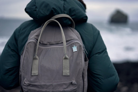A person with a backpack standing by the ocean