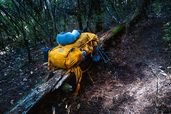 Yellow backpack resting on a fallen tree in a forest.